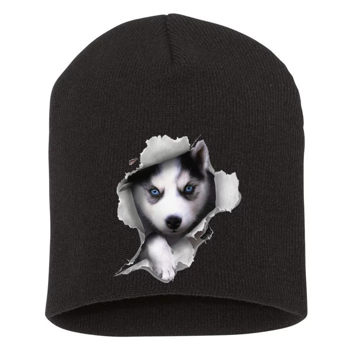 Siberian Husky Dog funny Husky Lover Short Acrylic Beanie