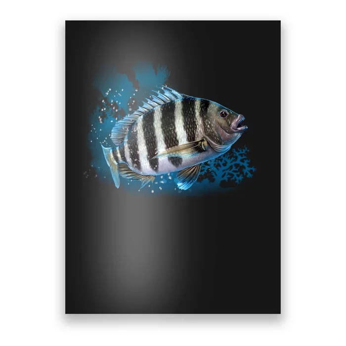 Sheepshead Poster