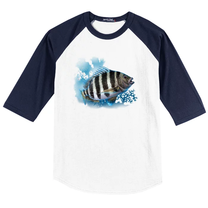 Sheepshead Baseball Sleeve Shirt