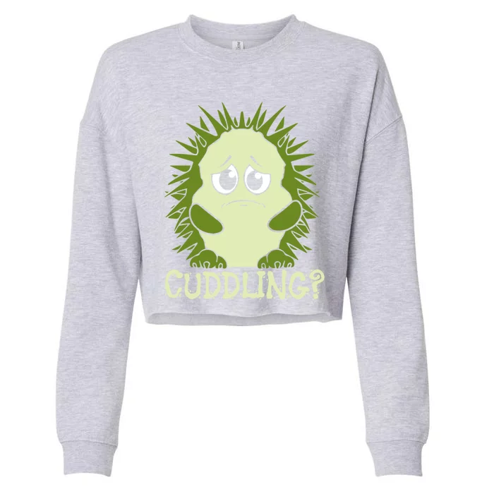 Sweet Hedgehog Funny Gift Cropped Pullover Crew