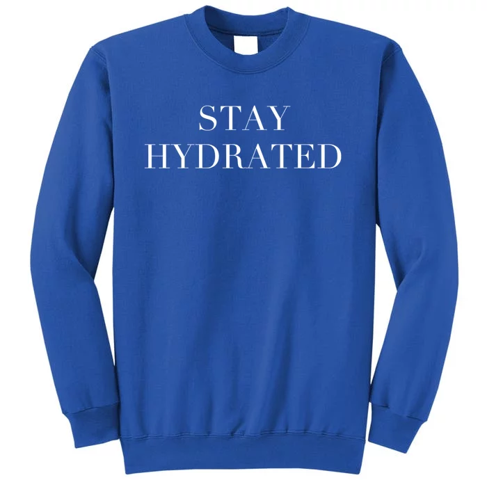 Stay Hydrated Gift I Love Water Ing Water Hydro Homies Gift Sweatshirt