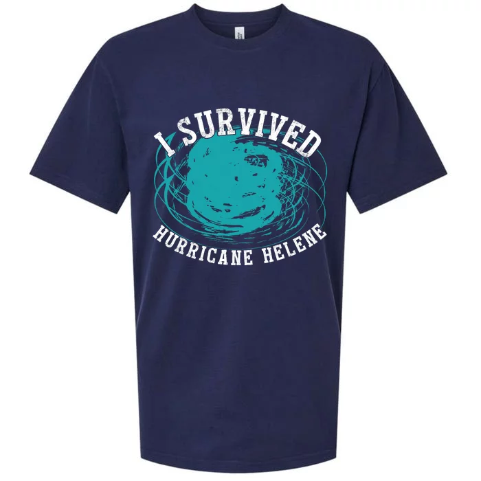 Survived Hurricane Helene 2024 Florida Meme Sueded Cloud Jersey T-Shirt