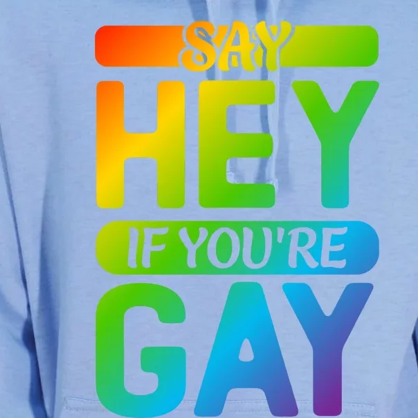 Say Hey If Youre Gay LGBT T Design Unisex Surf Hoodie