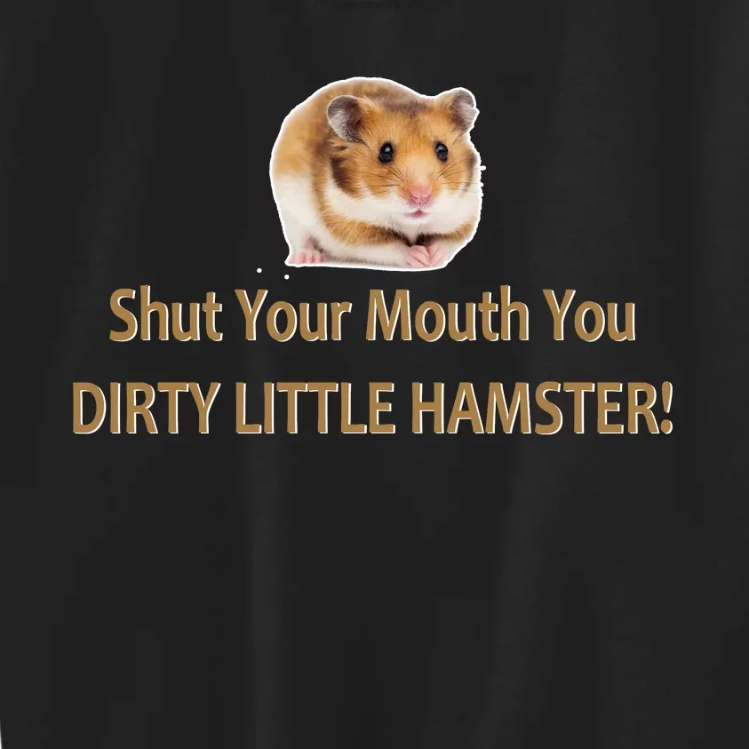 Shut Your Mouth You Dirty Little Hamster Kids Sweatshirt