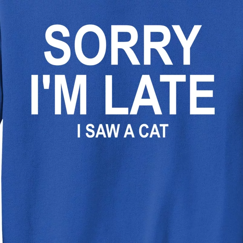 Sorry I Am Late I Saw A Cat Gift Sweatshirt