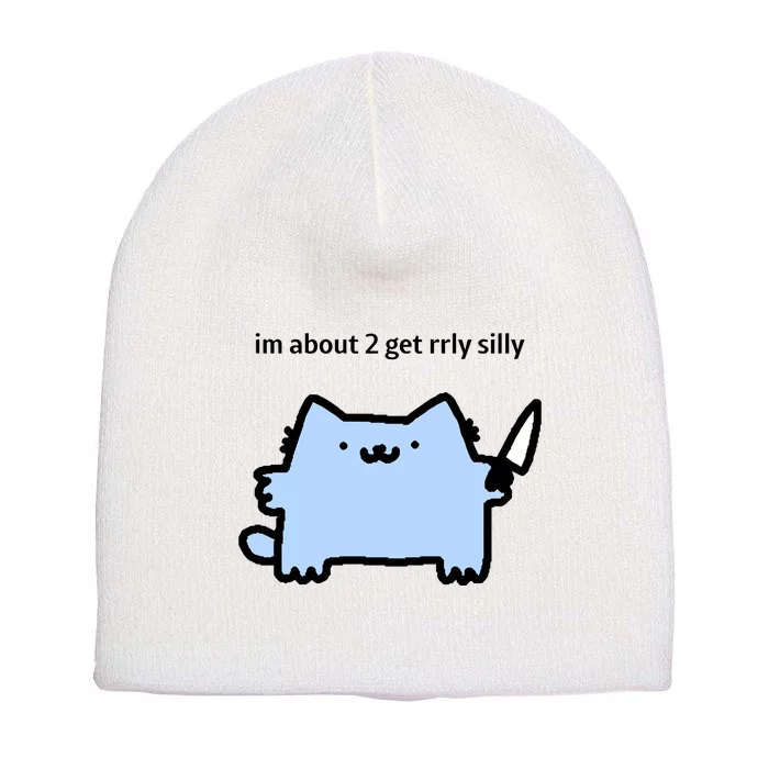 Sillynubcat Im About 2 Get Rrly Silly Short Acrylic Beanie