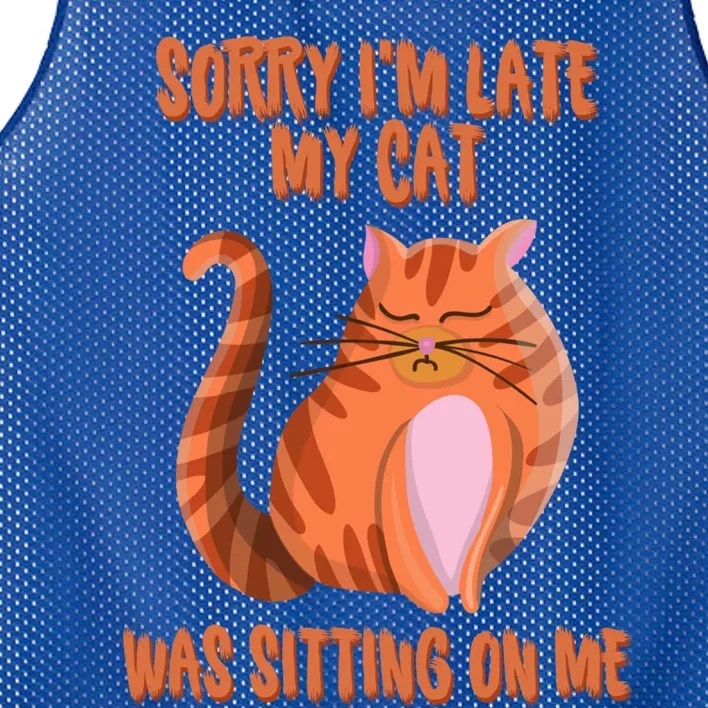 Sorry I Am Late My Cat Was Sitting On Me Cat Lover Designs Gift Mesh Reversible Basketball Jersey Tank