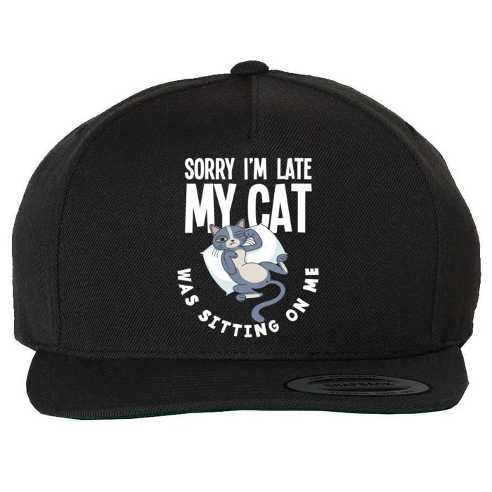 Sorry I Am Late My Cat Was Sitting On Me Pet Cat Owner Cat Gift Wool Snapback Cap