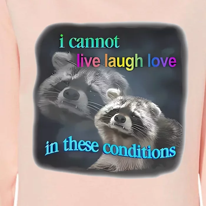 Snazzyseagull I Cannot Live Laugh Love In These Conditions Raccoon Womens California Wash Sweatshirt