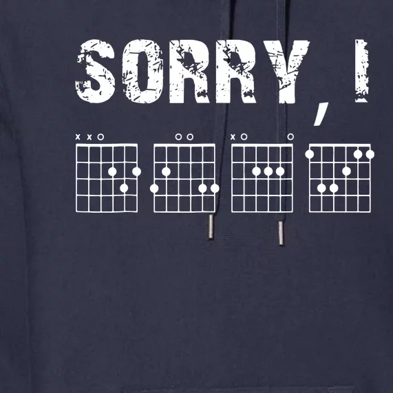 Sorry I DGAF Funny Hidden Message Guitar Chords For Lover Premium Hoodie