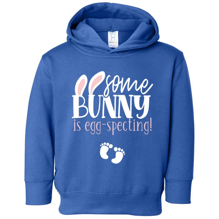 Somebunny Is Eggspecting Easter Pregnancy Reveal Future Mom Meaningful Gift Toddler Hoodie