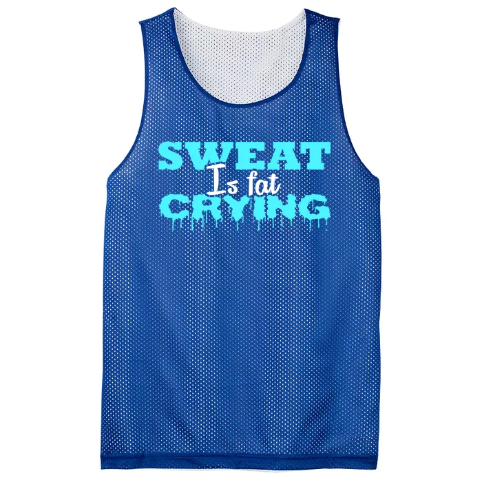 Sweat Is Fat Crying Gift Funny Gym Workout Gift Mesh Reversible Basketball Jersey Tank