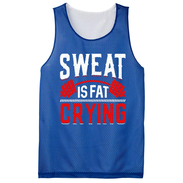 Sweat Is Fat Crying Gift Mesh Reversible Basketball Jersey Tank