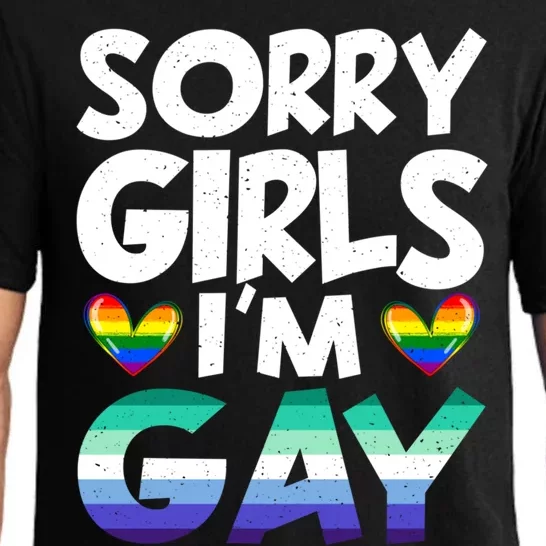 Sorry Im Gay Rainbow Flag Funny Lgbt Pride Gift Pajama Set