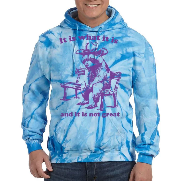 Slippywild It Is What It Is And It Is Not Great Tie Dye Hoodie