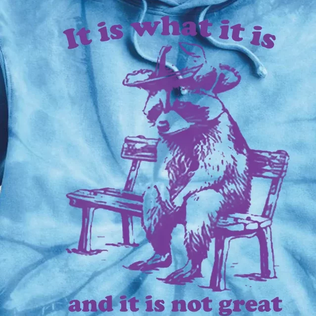 Slippywild It Is What It Is And It Is Not Great Tie Dye Hoodie