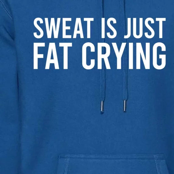 Sweat Is Just Fat Crying Gift Sweat Is Fat Crying Great Gift Premium Hoodie