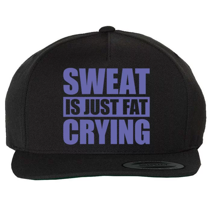 Sweat Is Just Fat Crying Great Gift Sweat Is Fat Crying Gift Wool Snapback Cap