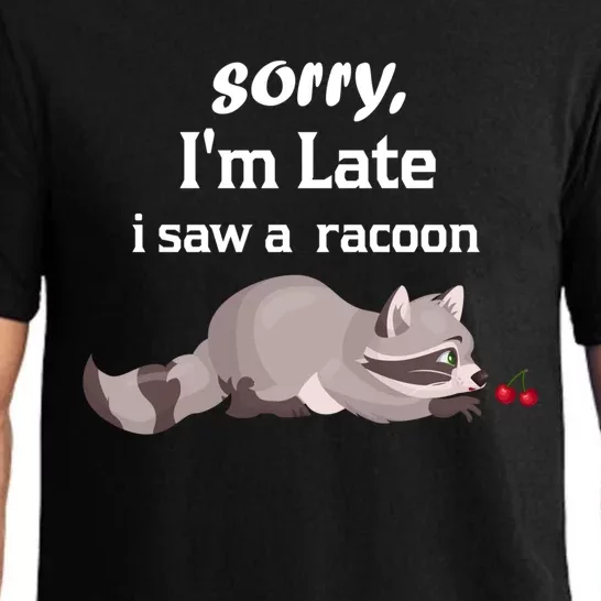 Sorry I'am Late A Saw A Racoon Funny Racoon Cute Gift Pajama Set