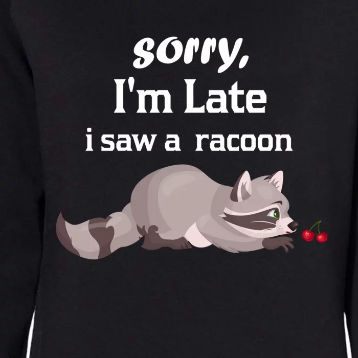 Sorry I'am Late A Saw A Racoon Funny Racoon Cute Gift Womens California Wash Sweatshirt