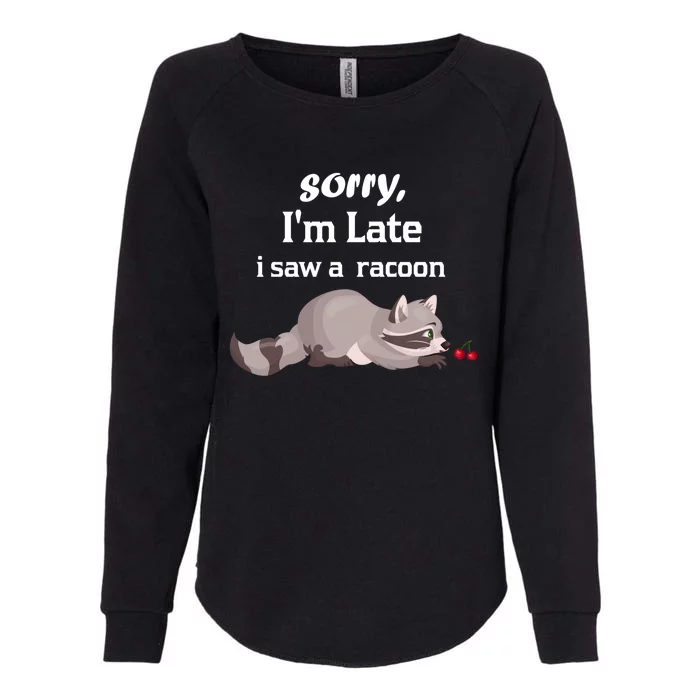 Sorry I'am Late A Saw A Racoon Funny Racoon Cute Gift Womens California Wash Sweatshirt