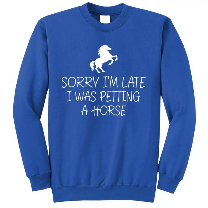 Sorry IM Late I Was Petting A Horse Funny Horse Lover Gift Sweatshirt