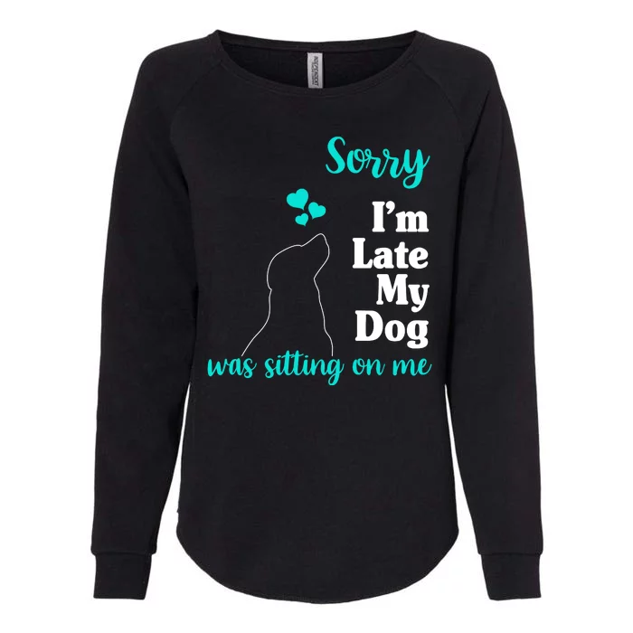 Sorry I'm Late My Dog Was Sitting On Me Womens California Wash Sweatshirt