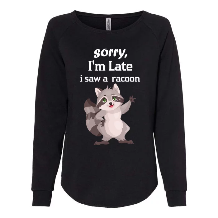 Sorry I'am Late A Saw A Racoon Funny Racoon Cool Gift Womens California Wash Sweatshirt