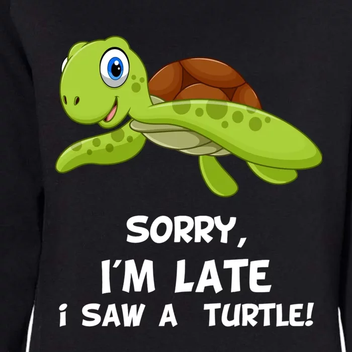 Sorry I'am Late A Saw A Turtle Funny Turtle Gift Womens California Wash Sweatshirt