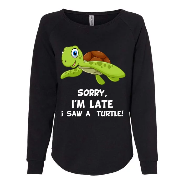 Sorry I'am Late A Saw A Turtle Funny Turtle Gift Womens California Wash Sweatshirt