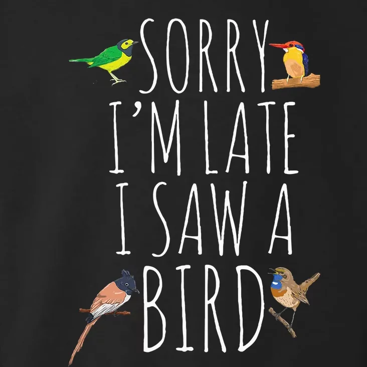 Sorry IM Late I Saw A Bird Cute Bird Lover Birding Toddler Hoodie