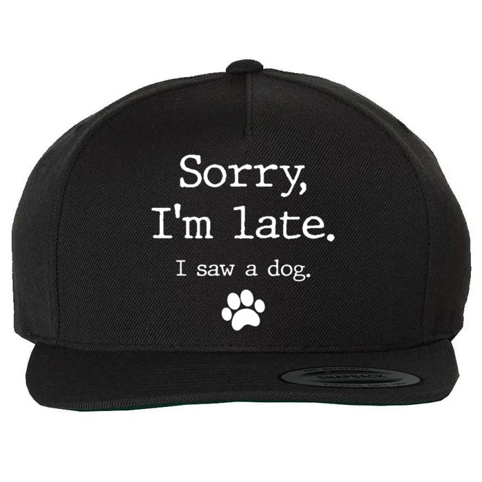 Sorry IM Late I Saw A Dog Wool Snapback Cap