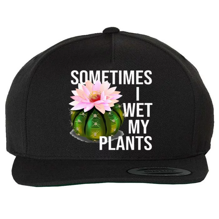 Sometimes I Wet My Plants Funny Gardening Cactus Lover Wool Snapback Cap