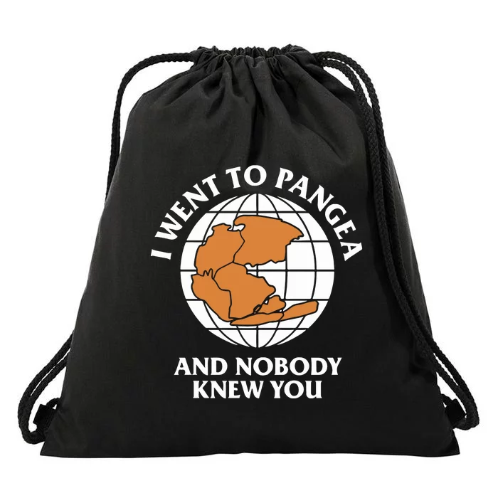 Shitheadsteve I Went To Pangea And Nobody Knew You Drawstring Bag