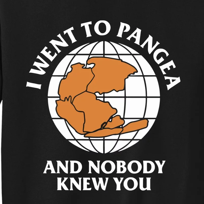 Shitheadsteve I Went To Pangea And Nobody Knew You Tall Sweatshirt