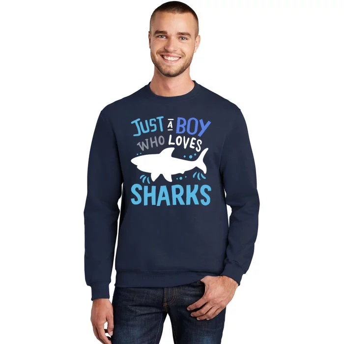 Shark Just A Boy Who Loves Sharks Gift Tall Sweatshirt