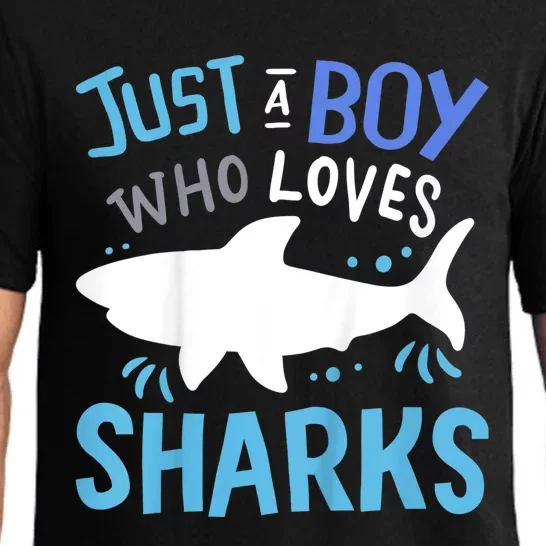 Shark Just A Boy Who Loves Sharks Gift Pajama Set