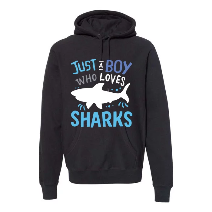 Shark Just A Who Loves Sharks Gift Premium Hoodie