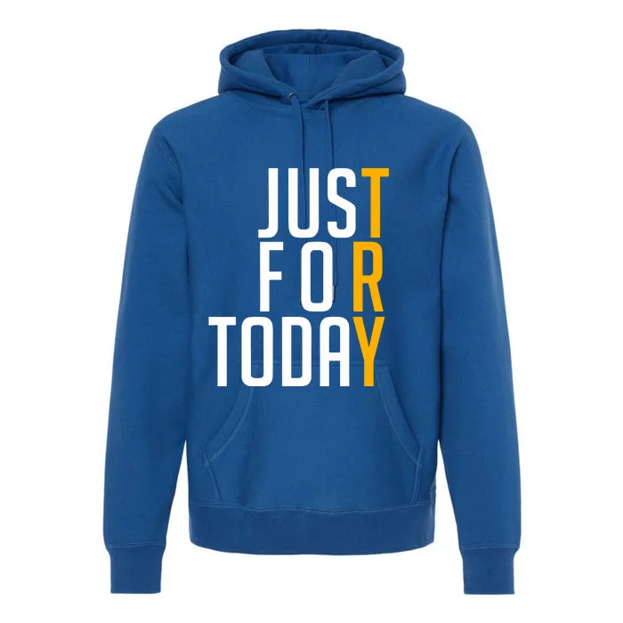 Sober Just For Today Try Premium Hoodie