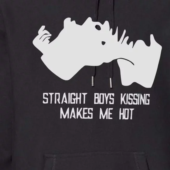 Straight Kissing Makes Me Hot Premium Hoodie