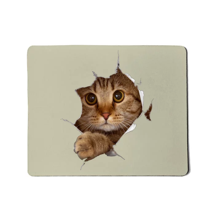 Sweet Kitten Torn Cloth Funny Cat Lover Cat Owner Cat Lady Mousepad