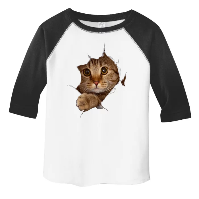 Sweet Kitten Torn Cloth Funny Cat Lover Cat Owner Cat Lady Toddler Fine Jersey T-Shirt