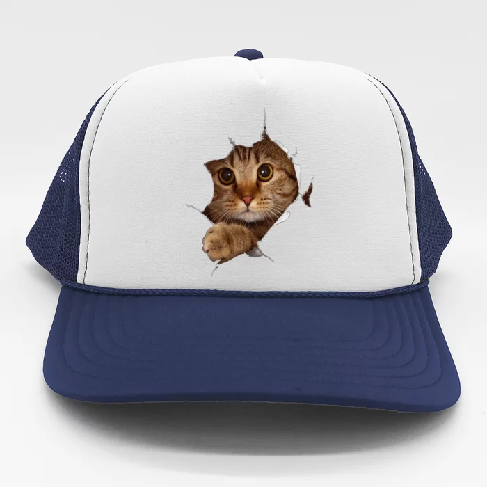 Sweet Kitten Torn Cloth Funny Cat Lover Cat Owner Cat Lady Trucker Hat