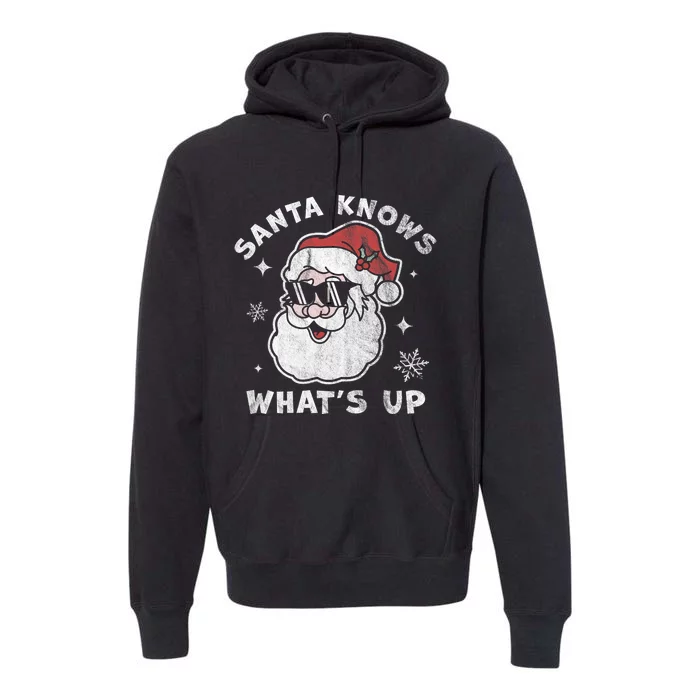 Santa Knows What's Up Funny Christmas Santa Claus Xmas Premium Hoodie