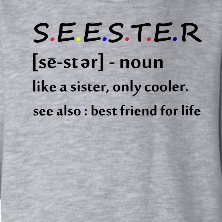 Seester Like A Sister Only Cooler Toddler Hoodie