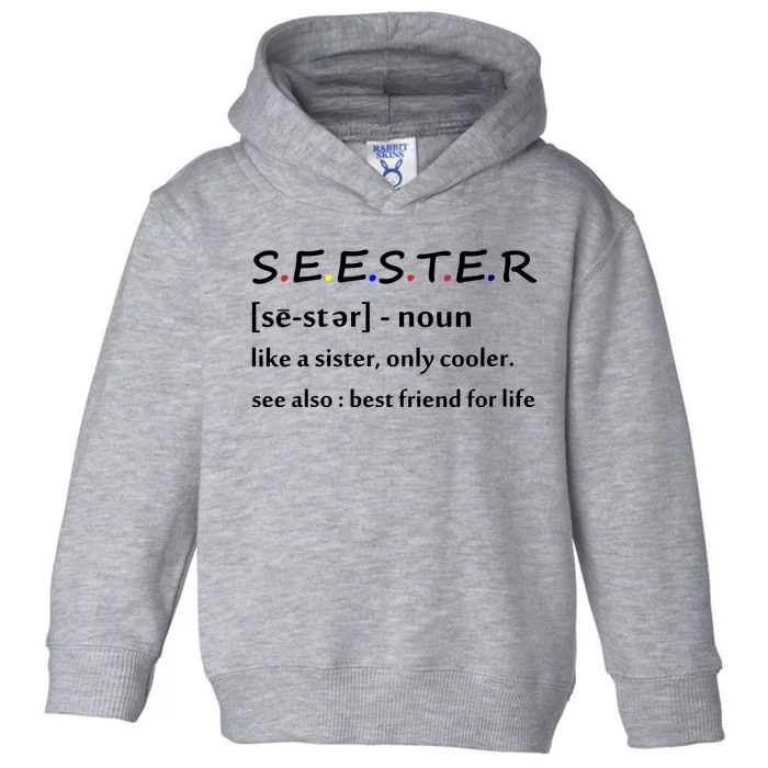 Seester Like A Sister Only Cooler Toddler Hoodie