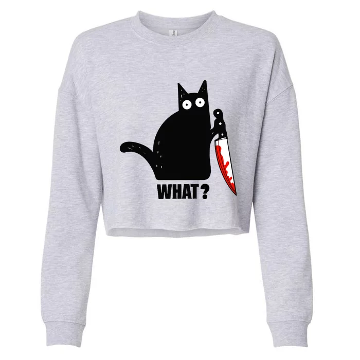 Spooky Lockdown Cat Cropped Pullover Crew