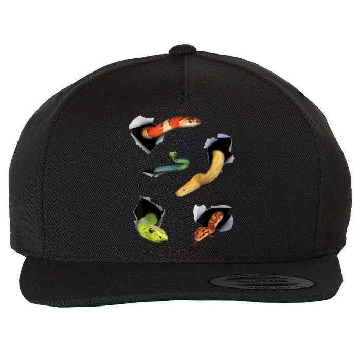 Snake Lover Funny Snake Reptile Lover Funny Snake Wool Snapback Cap