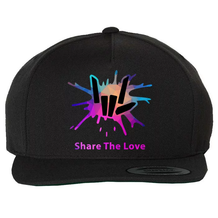 Share Love Merch For Kids And Young Wool Snapback Cap