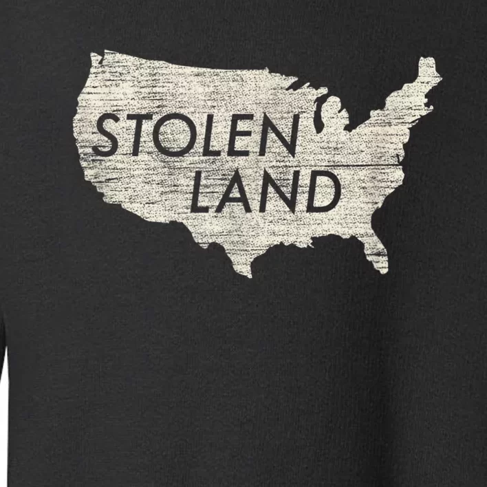 Stolen Land Native American Indigenous Toddler Sweatshirt